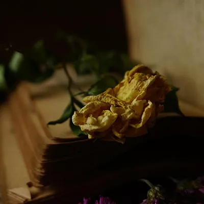 9月11日免费节点分享|21.6M/S，Clash节点/Shadowrocket节点/Singbox节点/V2ray节点|免费上网梯子每天更新